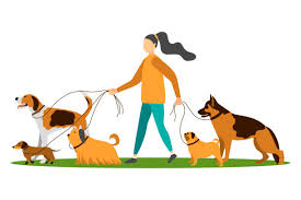 Image result for clip art walking a dog